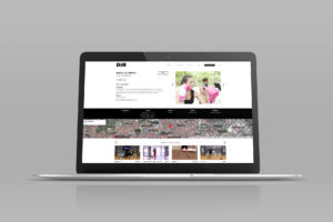 Website Online Dir